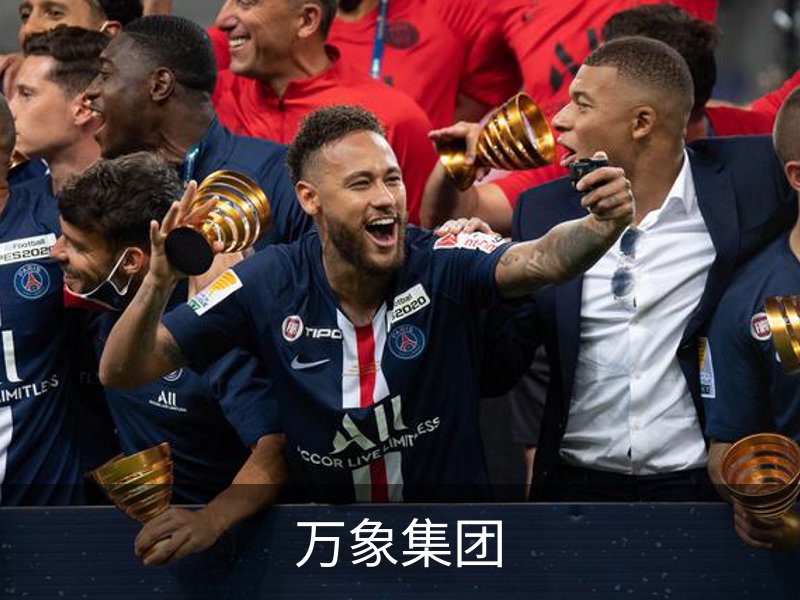 万象集团简介